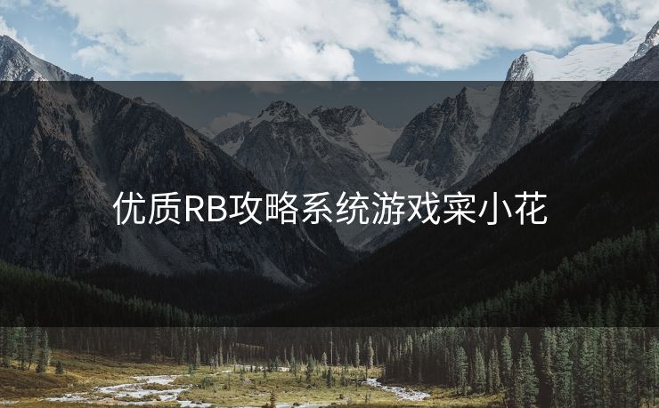 优质RB攻略系统游戏寀小花